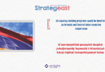 EU capacity-building programs would be beneficial to Armenia and Central Asian countries cooperation
